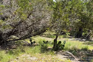 560 Hummingbird Hill, Canyon Lake, TX 78133 - Photo 1