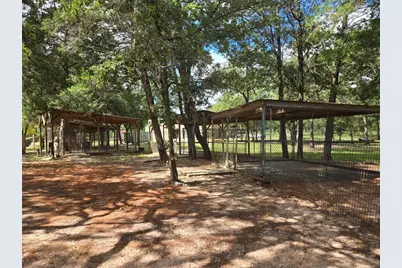 2438 Fm 535 Highway, Rosanky, TX 78953 - Photo 10