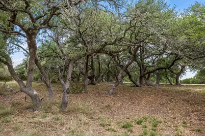 6594 W Hwy 290, Dripping Springs, TX 78620 - Photo 8