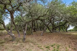 6594 W Hwy 290, Dripping Springs, TX 78620 - Photo 8