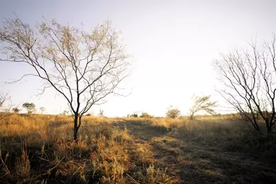 247 E Fm 581 Highway, Lometa, TX 76853 - Photo 20