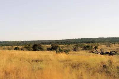 247 E Fm 581 Highway, Lometa, TX 76853 - Photo 30