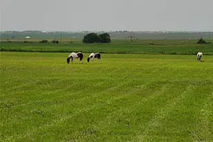 15620 Harry Lind Rd, Elgin, TX 78621 - Photo 8