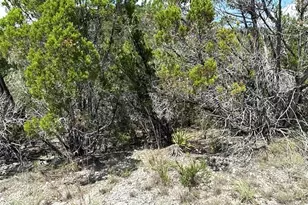 21404 Westward Ho Pass, Lago Vista, TX 78645 - Photo 1