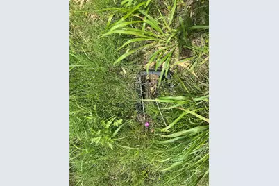 1100 County Road 266, Zephyr, TX 76890 - Photo 8