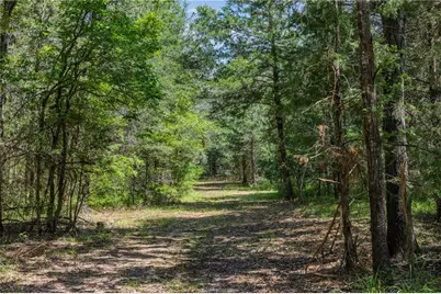 Tbd Weber Road, Bryan, TX 77808 - Photo 6