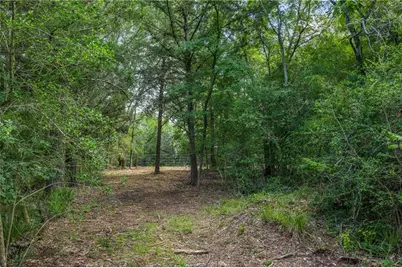 Tbd Weber Road, Bryan, TX 77808 - Photo 8