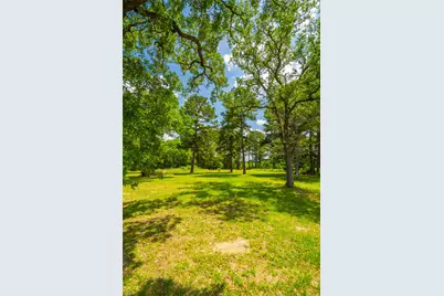 677 Old Antioch Road, Smithville, TX 78957 - Photo 4