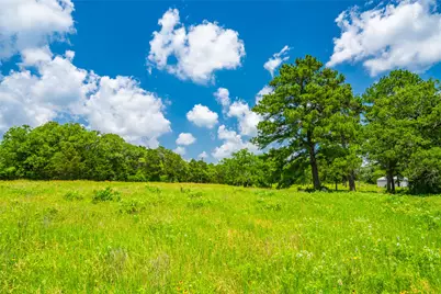 677 Old Antioch Road, Smithville, TX 78957 - Photo 8