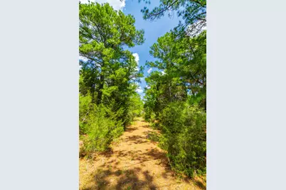 677 Old Antioch Road, Smithville, TX 78957 - Photo 12
