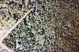 39 Old Firetower, Bastrop, TX 78602 - Photo 1