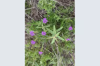 Lot 52 Clearwater Canyon Road, Bandera, TX 78003 - Photo 4