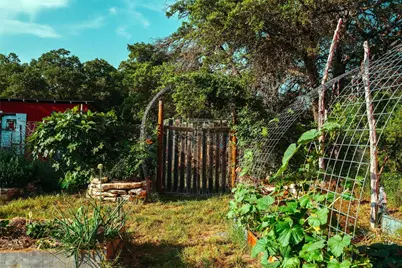 435 Spangenberg Road, Blanco, TX 78623 - Photo 36