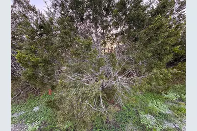 1001 Oblate Drive, Canyon Lake, TX 78133 - Photo 6