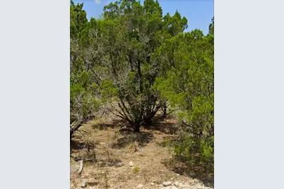 1001 Oblate Drive, Canyon Lake, TX 78133 - Photo 8