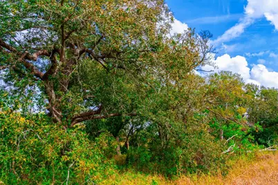 159 Brushy Creek Trail, Hutto, TX 78634 - Photo 12