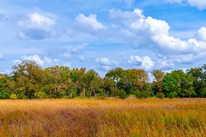 159 Brushy Creek Trail, Hutto, TX 78634 - Photo 16