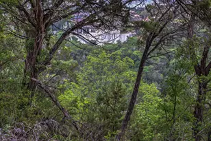 18333 Hidden Ridge Pl, Leander, TX 78645 - Photo 40