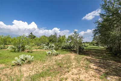410 Green Acre Drive, Dale, TX 78616 - Photo 4