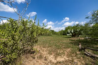 410 Green Acre Drive, Dale, TX 78616 - Photo 8