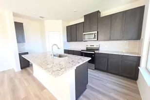 1609 Red Berry Pass, Georgetown, TX 78628 - Photo 12