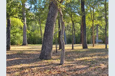 155 Michele Drive, Bastrop, TX 78602 - Photo 18