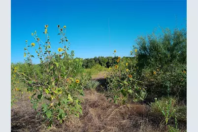 Lot 34 Serenity Drive, Bertram, TX 78605 - Photo 6