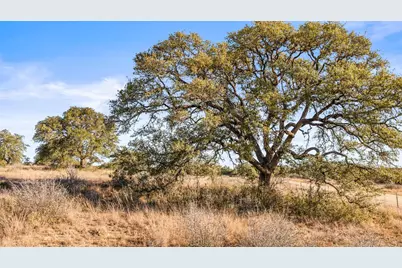 1422-17 Rm 2766, Johnson City, TX 78636 - Photo 1