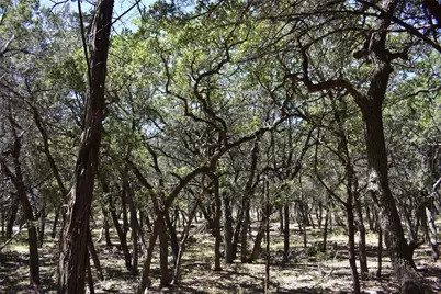 24369 Round Mountain Road #6, Leander, TX 78641 - Photo 26