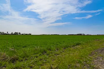 7531 Fm 1105 Road, Georgetown, TX 78626 - Photo 10