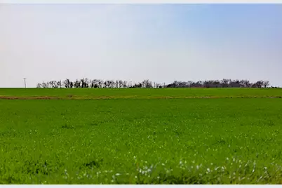 7531 Fm 1105 Road, Georgetown, TX 78626 - Photo 12