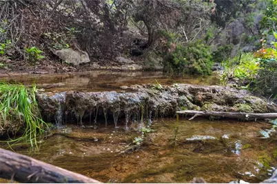 502 Grace Lane, Austin, TX 78746 - Photo 2