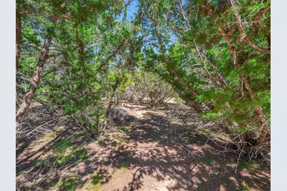 1924 Pursley Road, Dripping Springs, TX 78620 - Photo 36