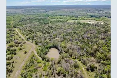 Tbd High Grove Road, Cedar Creek, TX 78612 - Photo 10