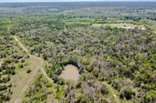 Tbd High Grove Rd, Cedar Creek, TX 78612 - Photo 10