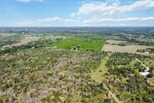 Tbd High Grove Rd, Cedar Creek, TX 78612 - Photo 12