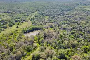 Tbd High Grove Rd, Cedar Creek, TX 78612 - Photo 14