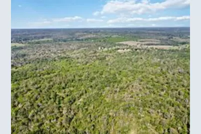 Tbd High Grove Road, Cedar Creek, TX 78612 - Photo 2