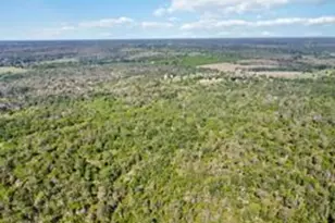 Tbd High Grove Rd, Cedar Creek, TX 78612 - Photo 2