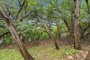 4305 Bonnell Vista Cove, Austin, TX 78731 - Photo 22