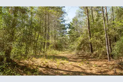 000 Bighorn Road, Huntsville, TX 77340 - Photo 12