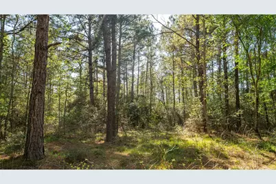 000 Bighorn Road, Huntsville, TX 77340 - Photo 18