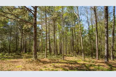 000 Bighorn Road, Huntsville, TX 77340 - Photo 14