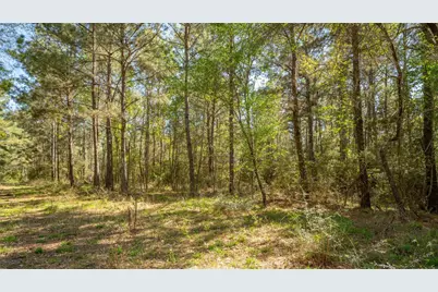 000 Bighorn Road, Huntsville, TX 77340 - Photo 22