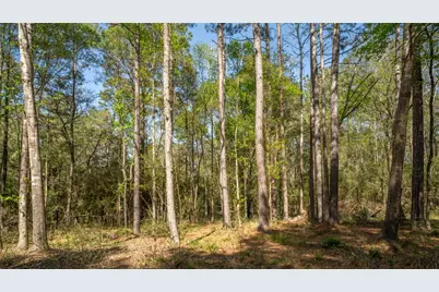 000 Bighorn Road, Huntsville, TX 77340 - Photo 16