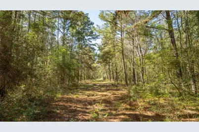 000 Bighorn Road, Huntsville, TX 77340 - Photo 10