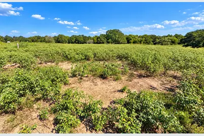 6228 Fm 141 Road, Dime Box, TX 77853 - Photo 4