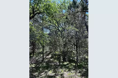 23 Heathrow Lane, Wimberley, TX 78676 - Photo 8