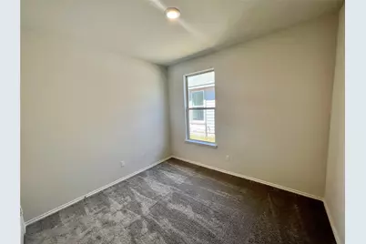 353 Grace Lilly Drive, Buda, TX 78610 - Photo 16