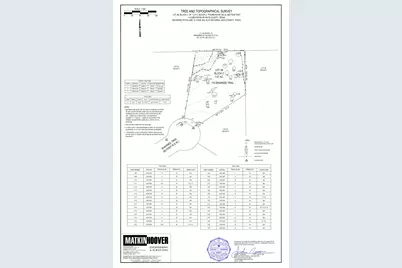 179 Shawnee Trail, Dripping Springs, TX 78620 - Photo 6